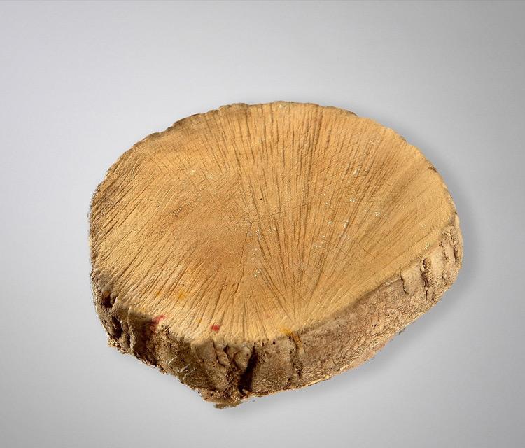 Круглый деревянный пень (2)
